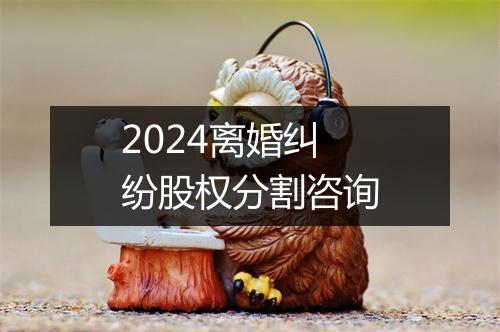 2024离婚纠纷股权分割咨询