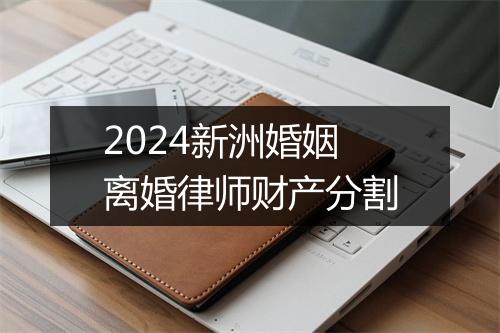 2024新洲婚姻离婚律师财产分割