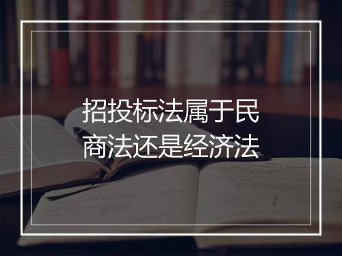 招投标法属于民商法还是经济法