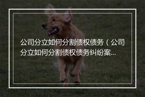 公司分立如何分割债权债务（公司分立如何分割债权债务纠纷案例）