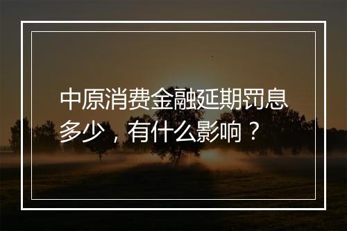 中原消费金融延期罚息多少，有什么影响？
