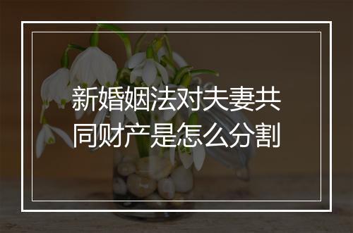 新婚姻法对夫妻共同财产是怎么分割