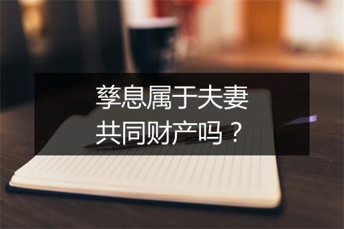 孳息属于夫妻共同财产吗？