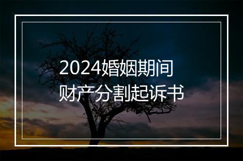 2024婚姻期间财产分割起诉书