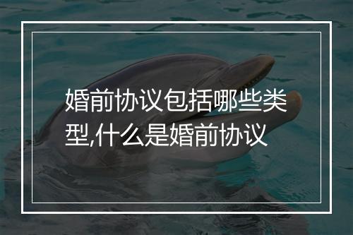 婚前协议包括哪些类型,什么是婚前协议
