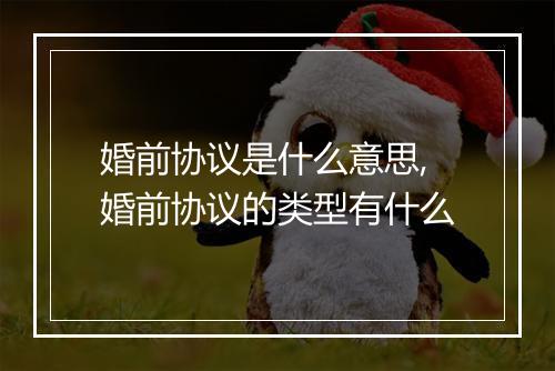 婚前协议是什么意思,婚前协议的类型有什么