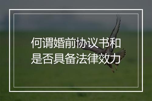 何谓婚前协议书和是否具备法律效力
