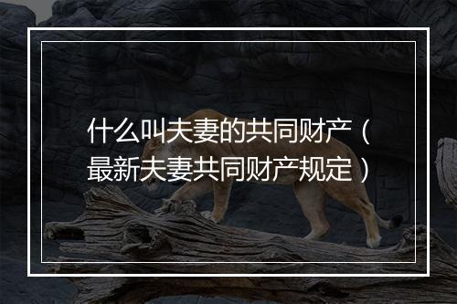 什么叫夫妻的共同财产（最新夫妻共同财产规定）