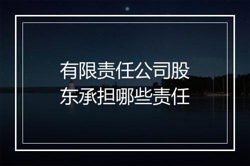 有限责任公司股东承担哪些责任