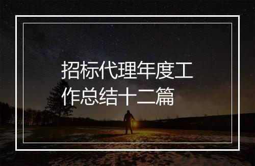 招标代理年度工作总结十二篇