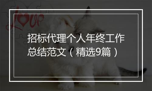招标代理个人年终工作总结范文（精选9篇）