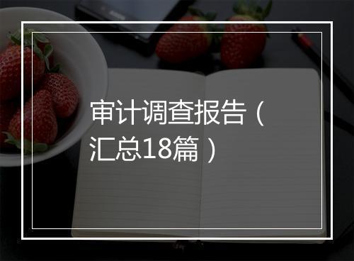 审计调查报告（汇总18篇）