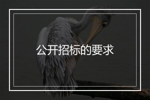 公开招标的要求