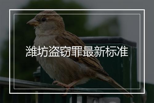 潍坊盗窃罪最新标准
