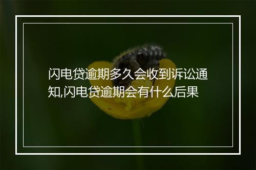 闪电贷逾期多久会收到诉讼通知,闪电贷逾期会有什么后果