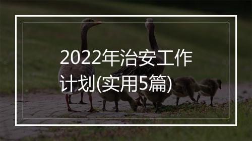 2022年治安工作计划(实用5篇)
