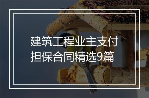 建筑工程业主支付担保合同精选9篇