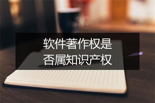 软件著作权是否属知识产权