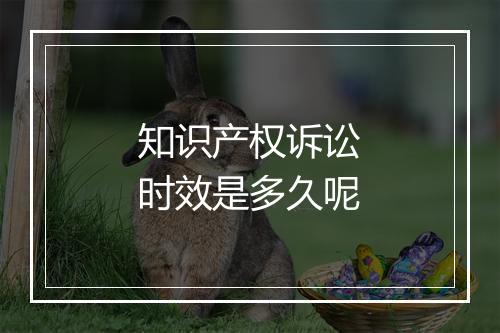 知识产权诉讼时效是多久呢