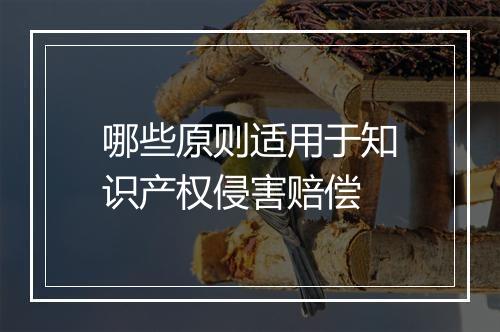 哪些原则适用于知识产权侵害赔偿