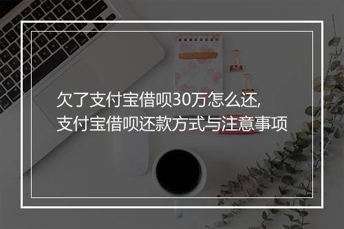 欠了支付宝借呗30万怎么还,支付宝借呗还款方式与注意事项