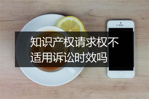 知识产权请求权不适用诉讼时效吗