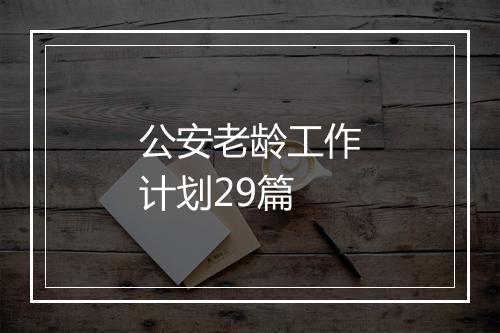 公安老龄工作计划29篇