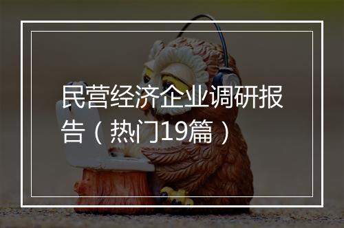民营经济企业调研报告（热门19篇）