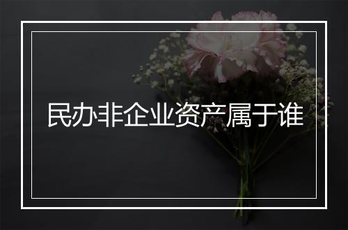 民办非企业资产属于谁