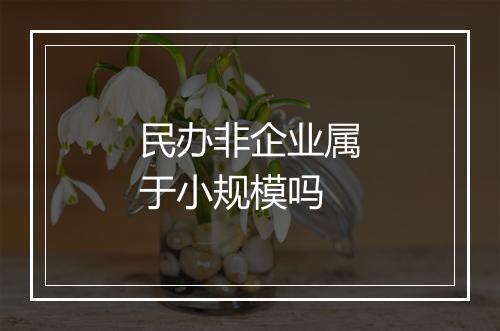 民办非企业属于小规模吗