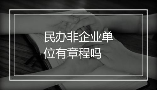 民办非企业单位有章程吗