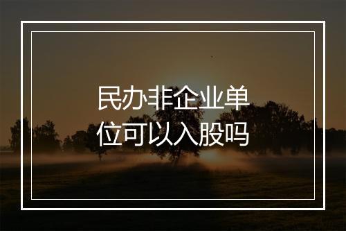 民办非企业单位可以入股吗