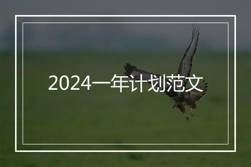 2024一年计划范文
