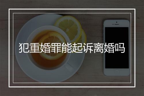 犯重婚罪能起诉离婚吗