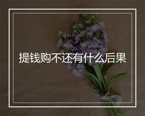 提钱购不还有什么后果