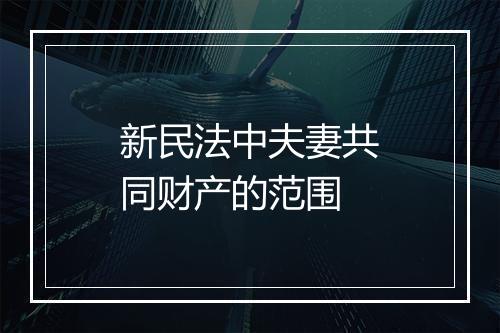 新民法中夫妻共同财产的范围