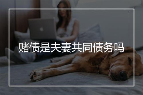 赌债是夫妻共同债务吗