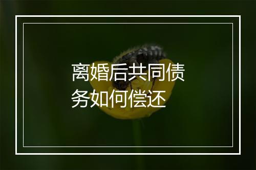 离婚后共同债务如何偿还