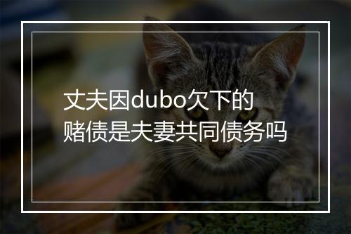 丈夫因dubo欠下的赌债是夫妻共同债务吗