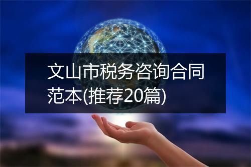 文山市税务咨询合同范本(推荐20篇)
