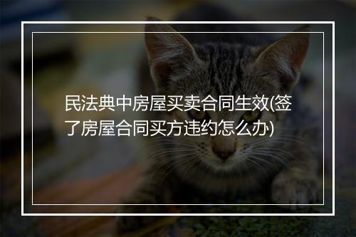 民法典中房屋买卖合同生效(签了房屋合同买方违约怎么办)