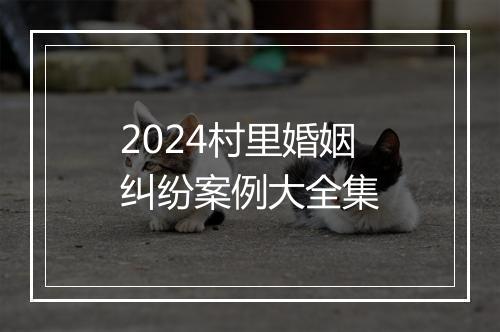 2024村里婚姻纠纷案例大全集