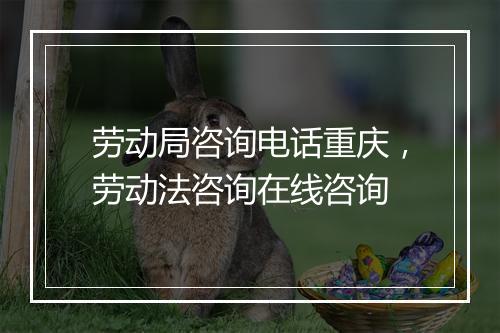 劳动局咨询电话重庆，劳动法咨询在线咨询