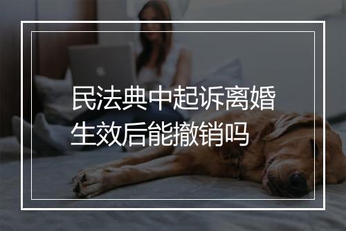 民法典中起诉离婚生效后能撤销吗