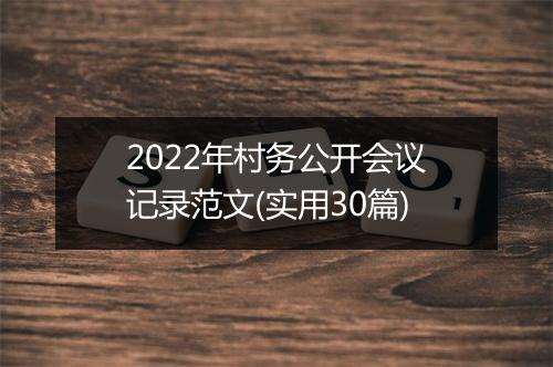 2022年村务公开会议记录范文(实用30篇)