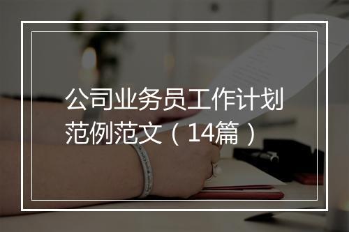 公司业务员工作计划范例范文（14篇）