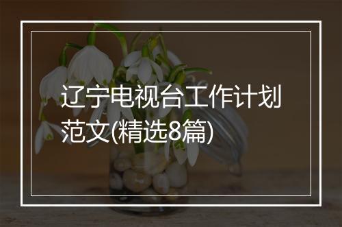 辽宁电视台工作计划范文(精选8篇)