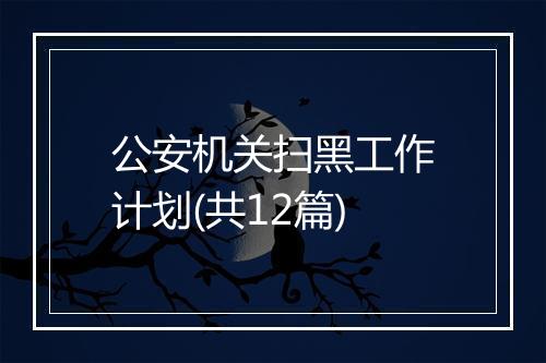 公安机关扫黑工作计划(共12篇)