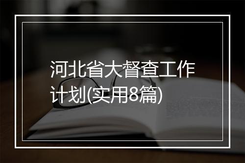 河北省大督查工作计划(实用8篇)