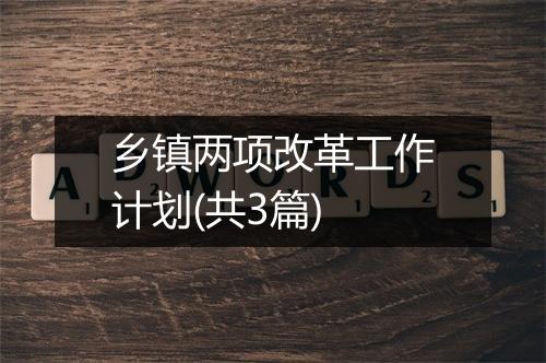乡镇两项改革工作计划(共3篇)